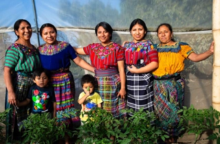 altromercato donne maya