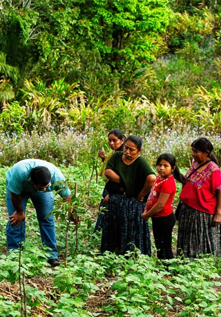 altromercato donne maya