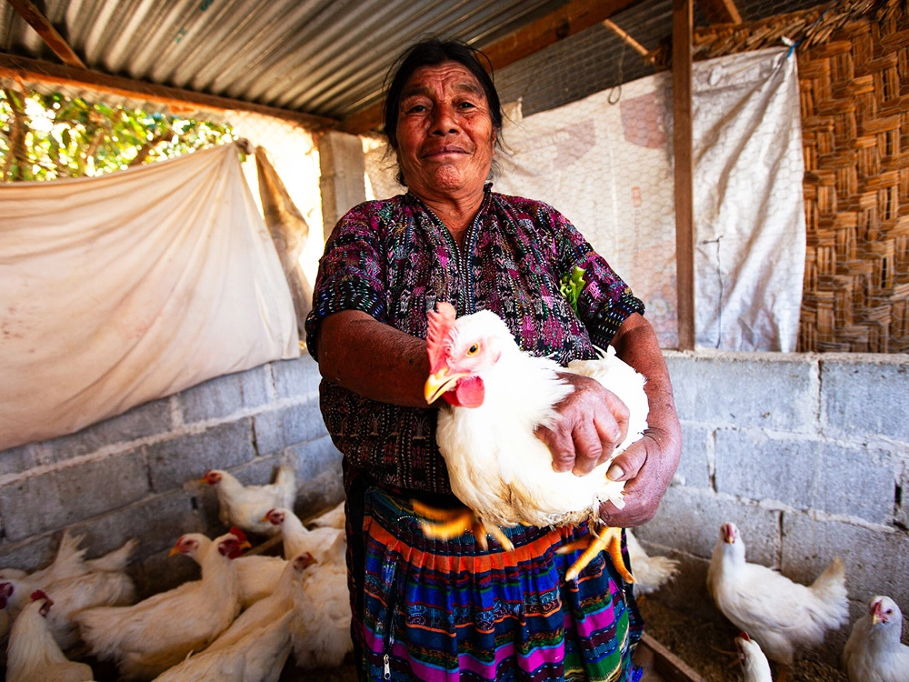 altromercato donne maya